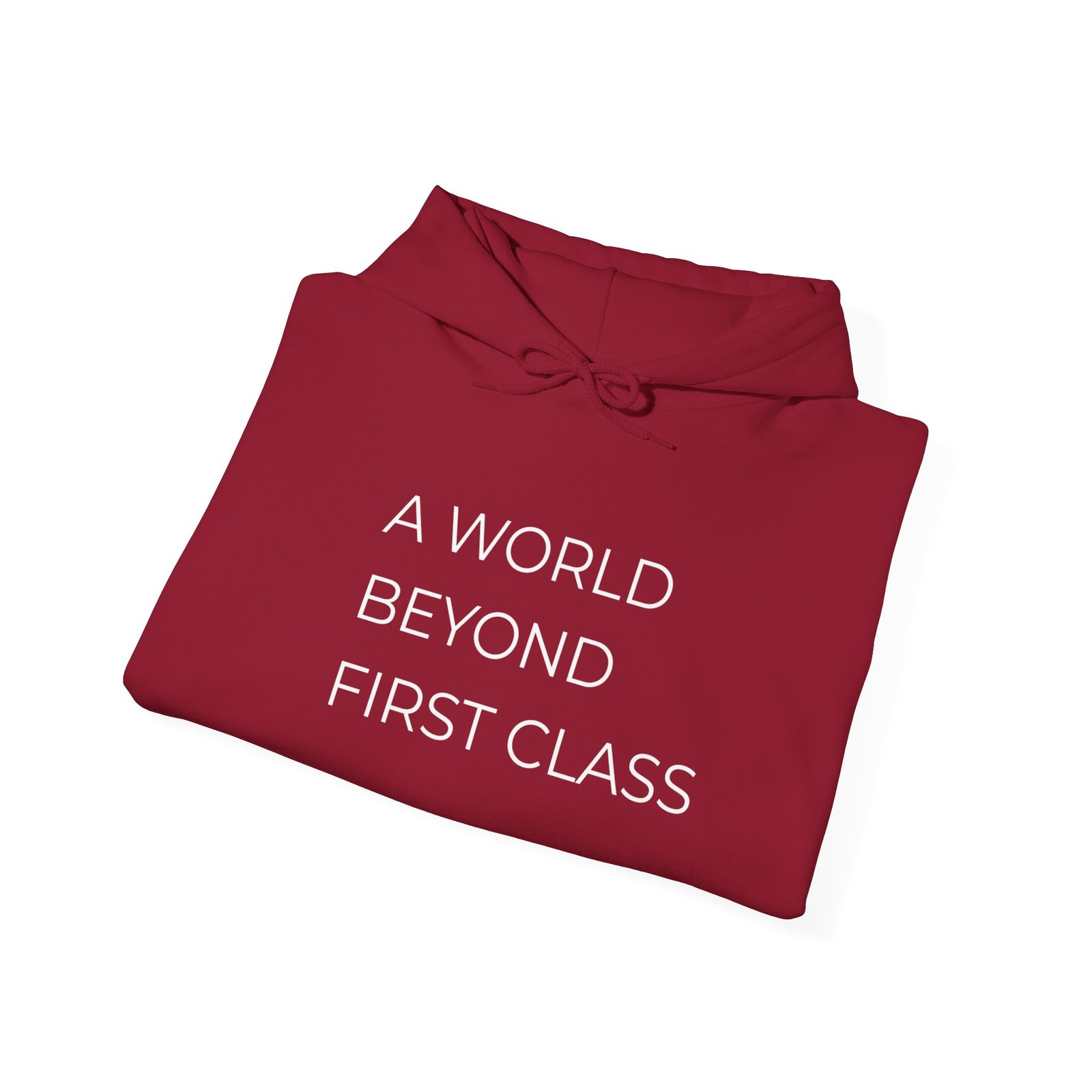 Modern Statement Hoodie: A World Beyond First Class, Casual Wear, Gift for Travel Lovers, Trendy Sweatshirt, Comfortable Fashion - Image 24